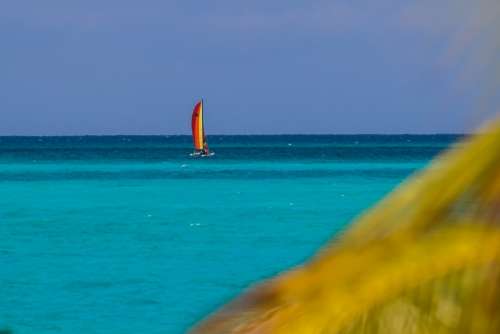 Cuba Ciego De Ávila Jardines De La Reina Cayo Coco