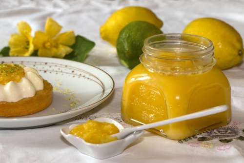 Culinary Lemon Ice