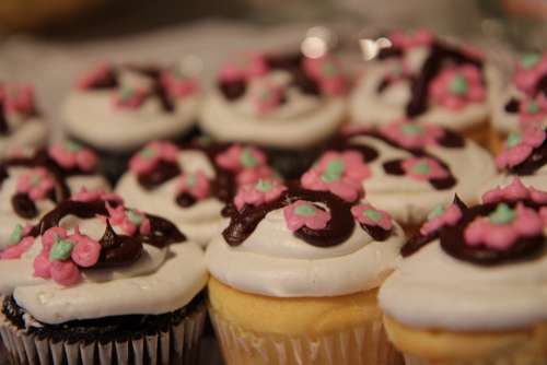 Cupcakes Treats Dessert Frosting Icing Baked Food