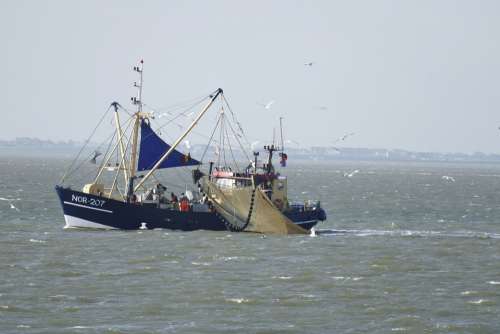 Cutter Sea Boat Fishing Boat