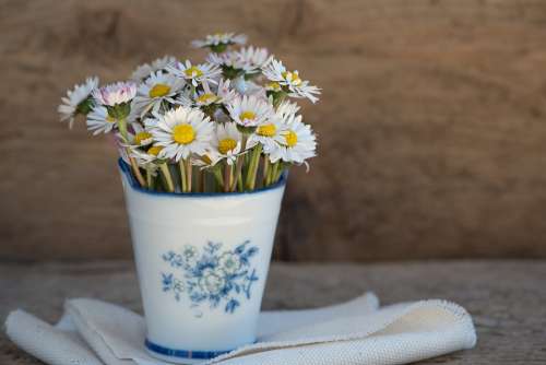 Daisy Pointed Flower Flower White Vase Vessel