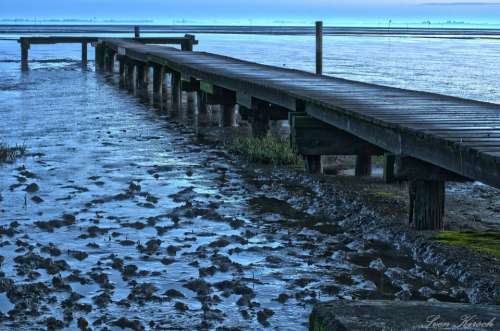 Dangast Web North Sea Ebb Wadden Sea Landscape