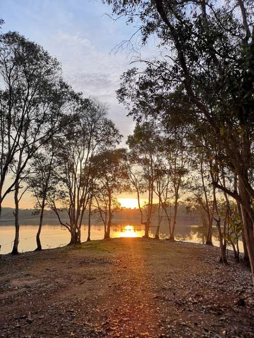 Dawn Lake Sunrise Tranquil Summer