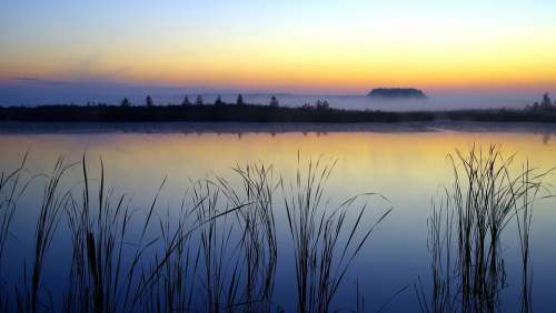 Dawn Rushes The Fog The Horizon Water Nature Lake