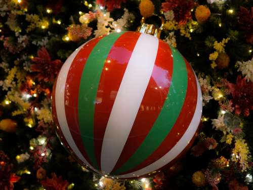 Decoration Christmas Celebration Holidays Tree