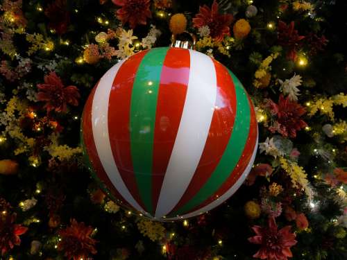 Decoration Christmas Celebration Holidays Tree
