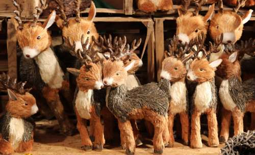 Deer Animal Christmas Christmas Decoration
