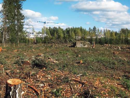 Deforested Construction Outskirts Helsinki Finland