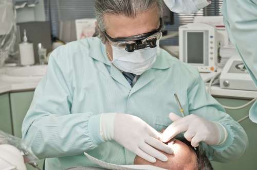 Dentist Dental Care Dentistry Teeth Doctor