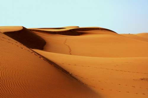 Desert Africa Bedouin Footprints Sand Arid Dry