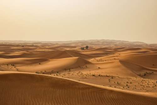 Desert Sand Dry Hot Landscape Travel Dune