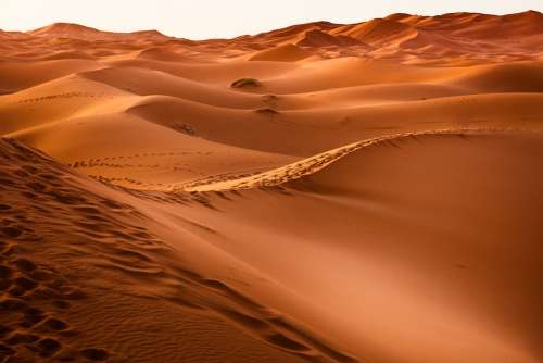 Desert Morocco Sand Dune Dry Landscape Dunes