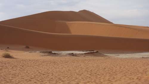 Desert Namib Sand Dunes Dry Namib Desert