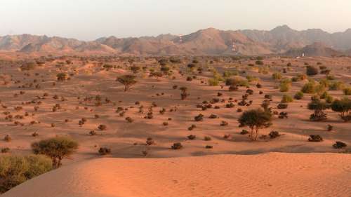 Desert Arid Oman Landscape Nature Scenic