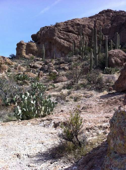 Desert Canyon Landscape Travel Nature