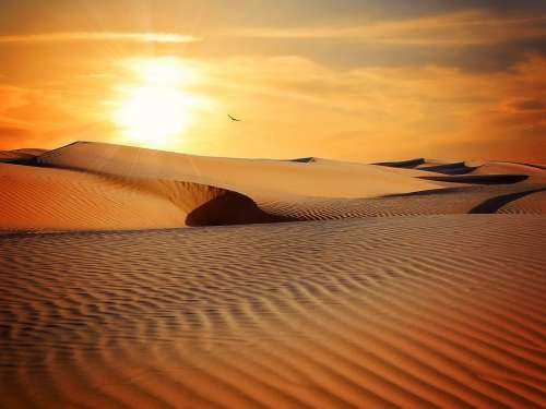 Desert Sand Landscape Sun Sunset Dry Adventure