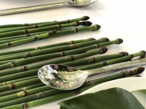Dining Exotic Bamboo Wedding Table Setting Spoon