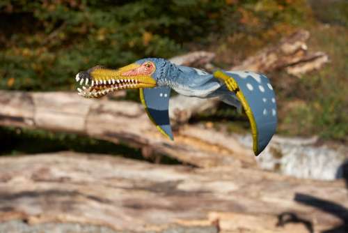 Dinosaur Flying Pterosaur