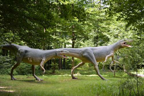Dinosaur Prehistoric Times Reptile Extinct Replica