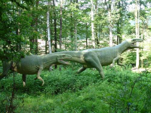 Dinosaur Urzeitlich Wilderness Reptile Biology