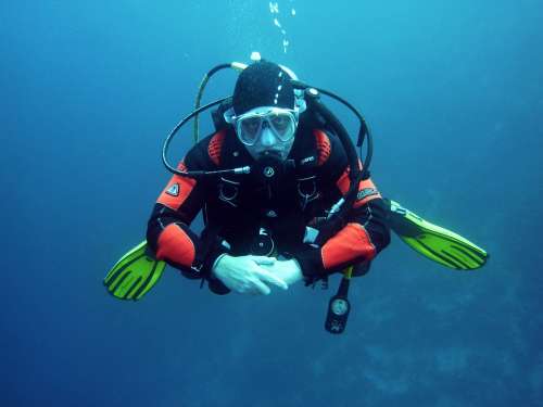 Divers Scuba Divers Diving Underwater