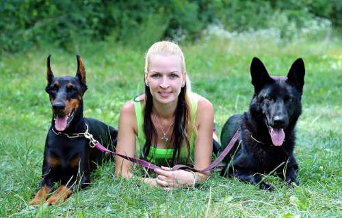 Doberman Black German Shepherd Dogs Blonde Woman