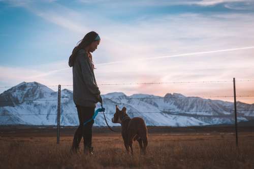 Dog Fence Field Girl Landscape Mountain Outdoors