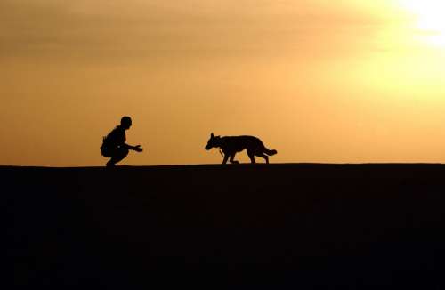 Dog Trainer Silhouettes Sunset Horizon Canine