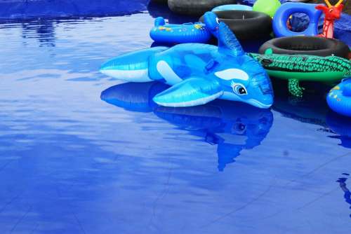 Dolphins Toys Blue Water Fish Children'S Games
