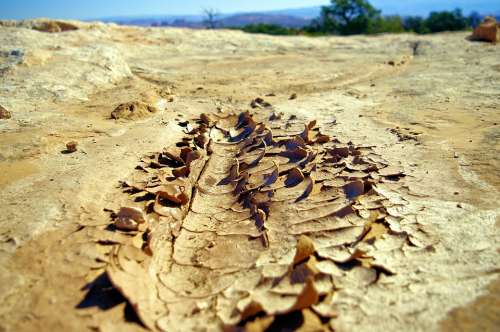 Dried Mud At Canyonlands Mud Dirt Dry Soil Ground