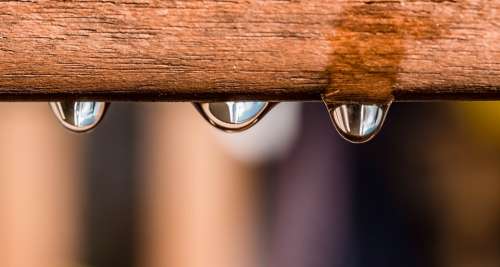 Drip Drop Of Water Raindrop Wet Water Run Off