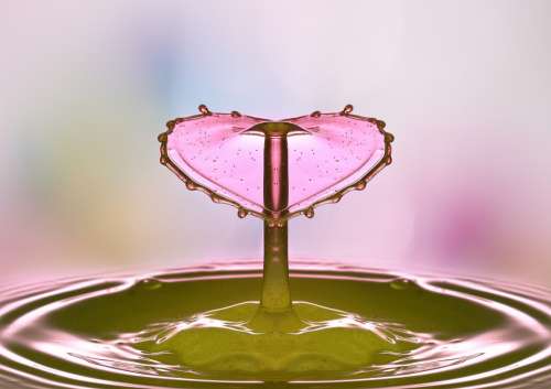 Drop Of Water Drip Water Pink Liquid Macro Wet