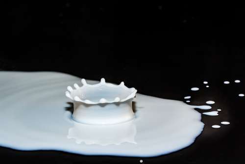 Drops Of Milk Spray Splash Surface Tension