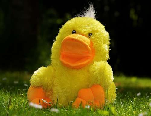 Duck Funny Soft Toy Toys Children Meadow Cute