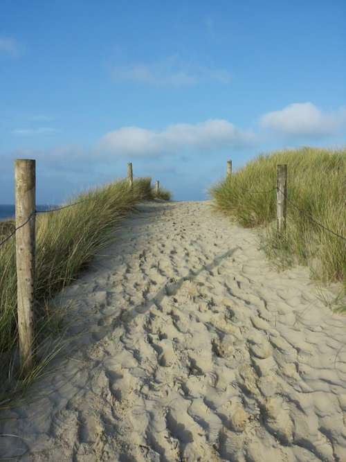 Dünenweg Footprints Sand Sea Beach Away