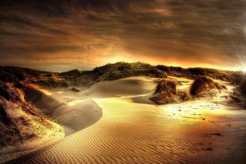Dunes Sea North Sea Beach Sand Denmark Summer
