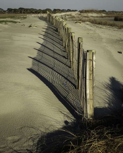 Dunes Fence Shadow Beach Nature Shore