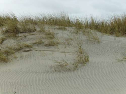 Dunes Sand Beach