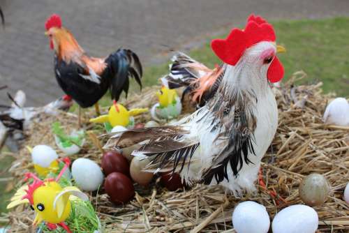 Easter Easter Eggs Easter Decoration Custom