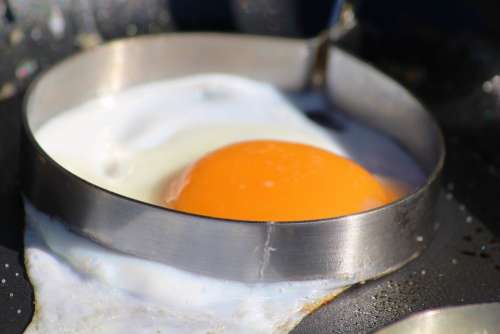 Egg Fried Ramekins Pan Fry Protein