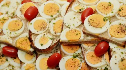 Egg Sandwich Egg Bread Yolk Boiled Eggs
