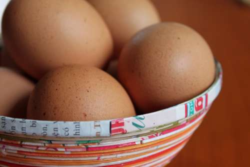 Eggs Bowl Food Meal Fresh Ingredient Shell Eat