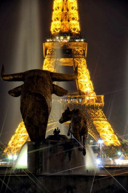 Eiffel Tower Night Flicker Monument Bull Paris