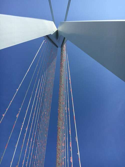 Erasmus Bridge Rotterdam Flags Air Bridge Holland