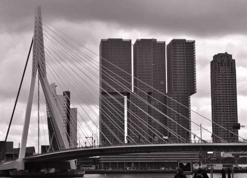Erasmus Bridge Rotterdam Bridge
