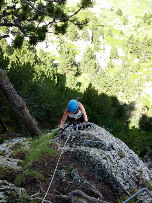 Escalation Rock Top Mountain Sport Tree Forest