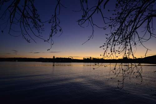 Evening Tree Lake