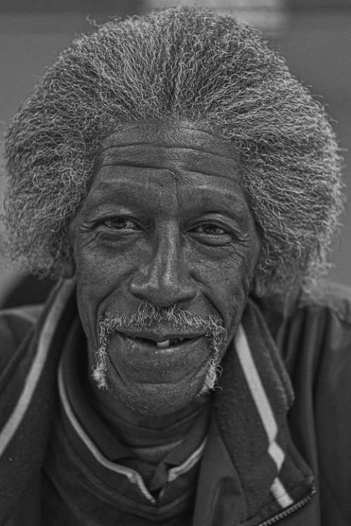 Face Old Man Portrait Head Male Elderly Human