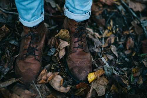 Fall Leather Shoes Feet Footwear Leaves Shoes