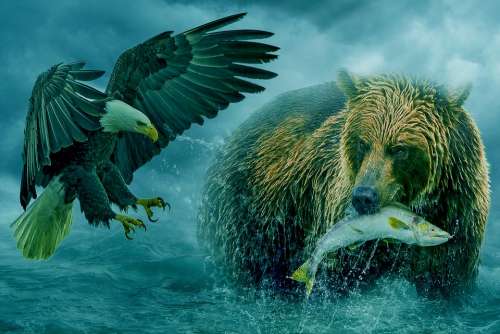 Fantasy Animal Bear Eagle Fish Fishing Ocean Sky